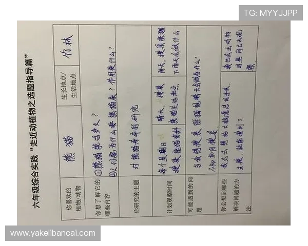 广州足球队盯防体系解析与战术运用的深度探讨与实践经验分享