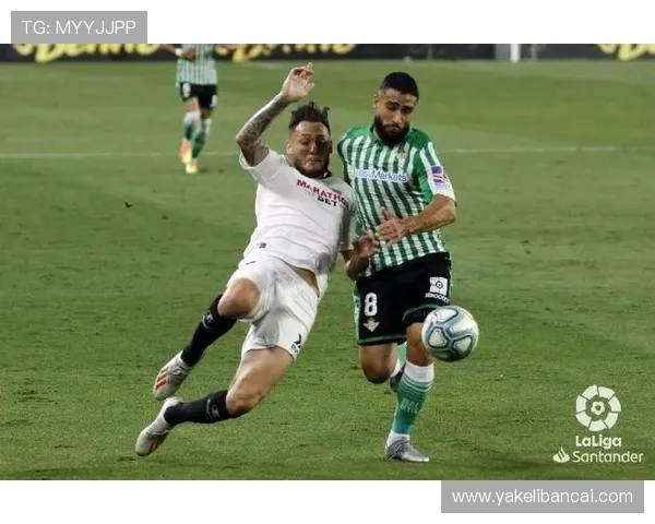 成都网球队在钻石联赛中以81分稳居积分榜首位