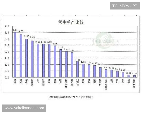 杭州排球队耐力对比分析揭示运动员训练与表现的深层关系