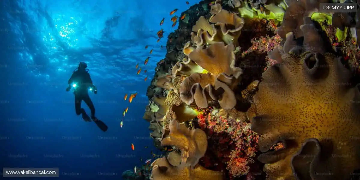 👟 个性定制，你的运动风格由我定义！